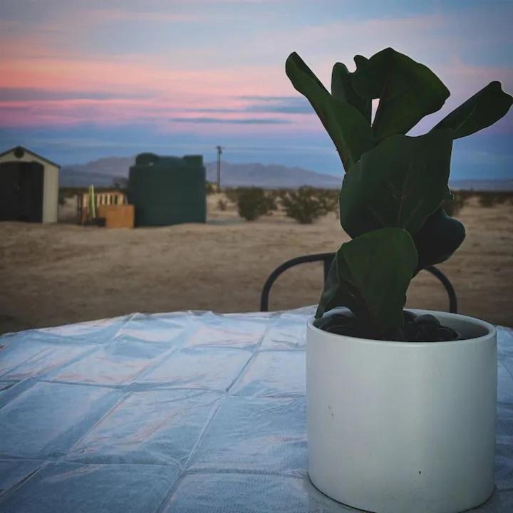 Serene Modern Home Backdoor With Great Wifi, Games, Movies, Patio Seating And Bbq Easy Access To North Joshua Tree National Park In 10 Minutes Twentynine Palms Zewnętrze zdjęcie